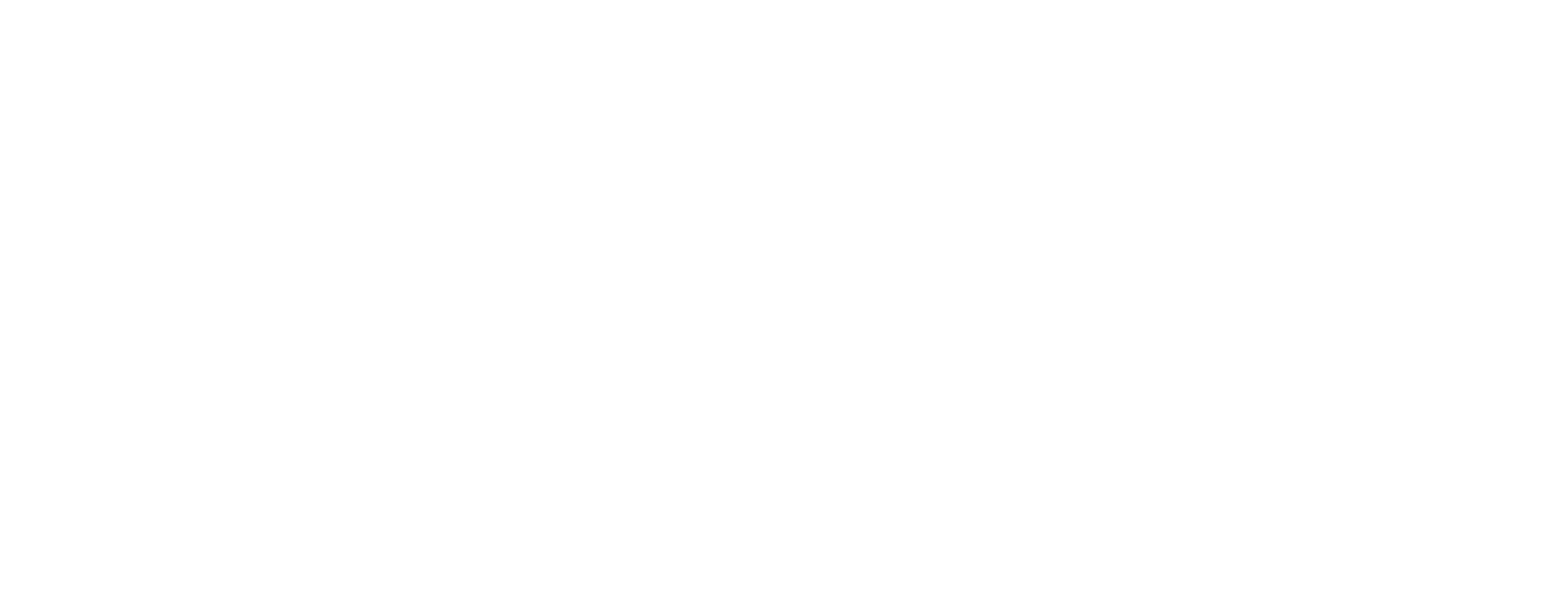 Logo Briut